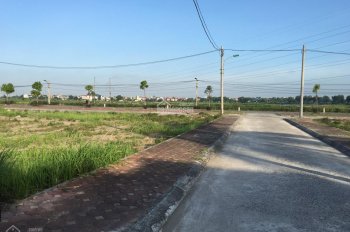 Đo đạc và cắm mốc xác định ranh giới Dự án làm văn phòng làm việc tại xã Mai Lâm, huyện Đông Anh